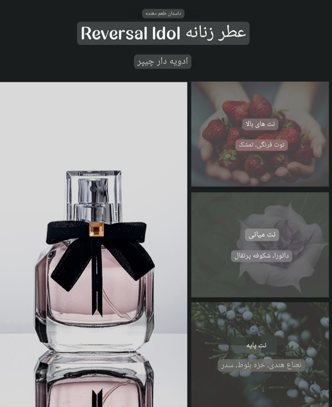 پک 4تایی عطر یونیسکس کد 50605