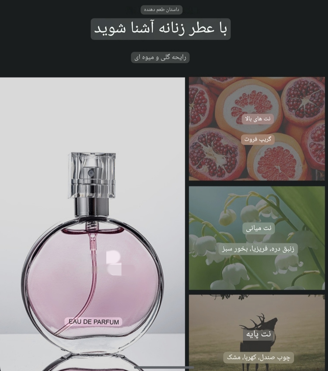 پک 4تایی عطر یونیسکس کد 50605